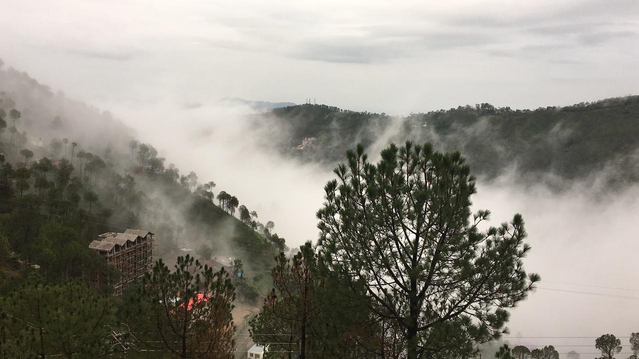 Dagshai Valley View Barog חדר תמונה